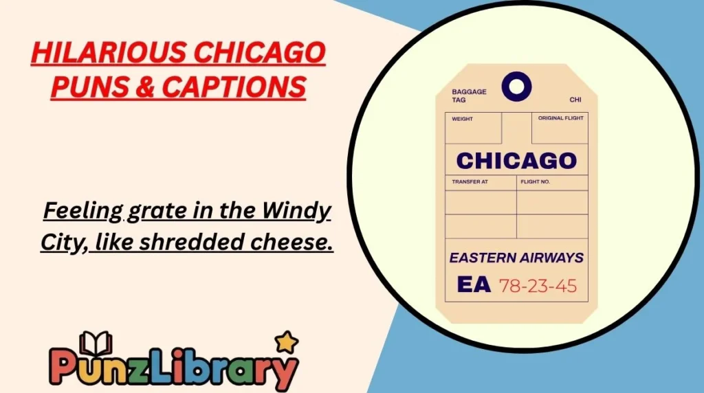 Hilarious Chicago Puns & Captions