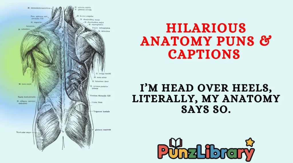 Hilarious Anatomy Puns & Captions