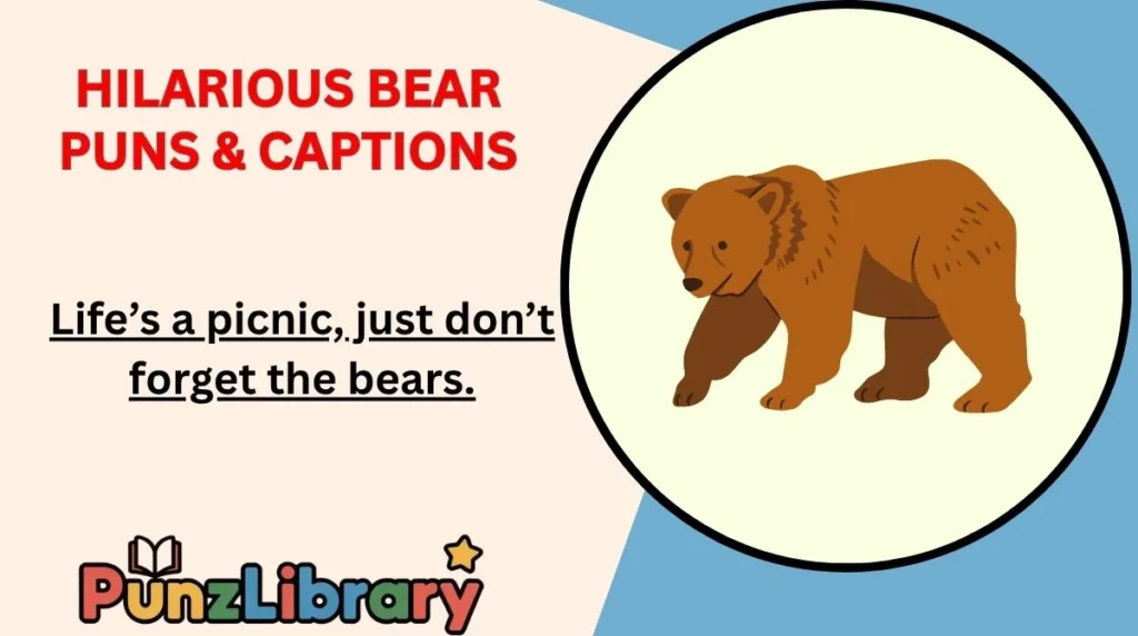 Hilarious Bear Puns & Captions