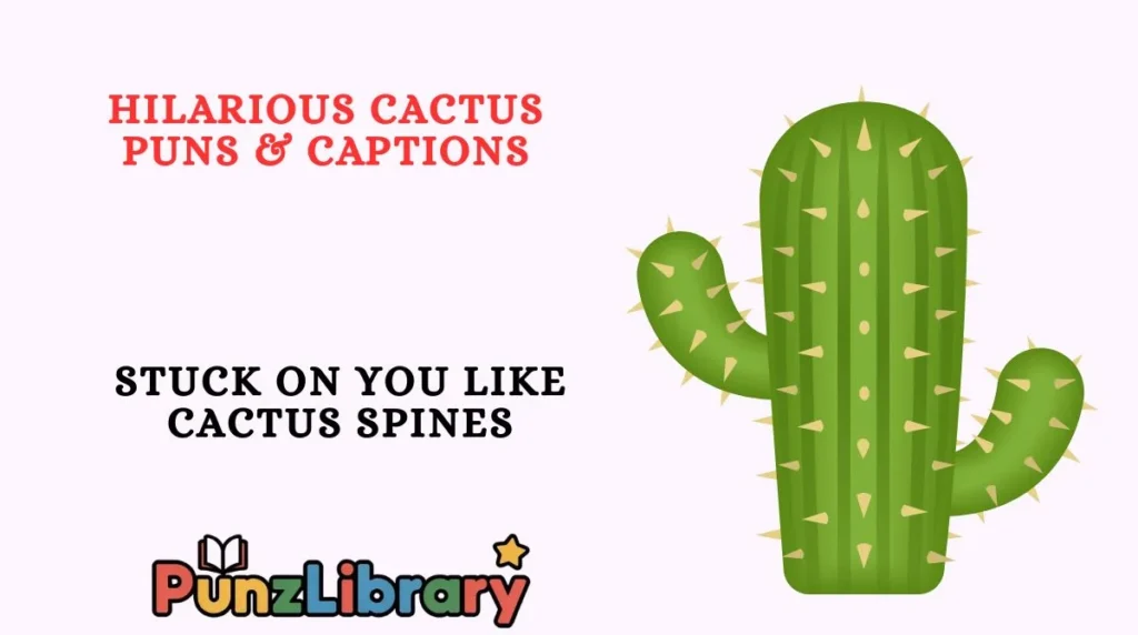 Hilarious Cactus Puns & Captions