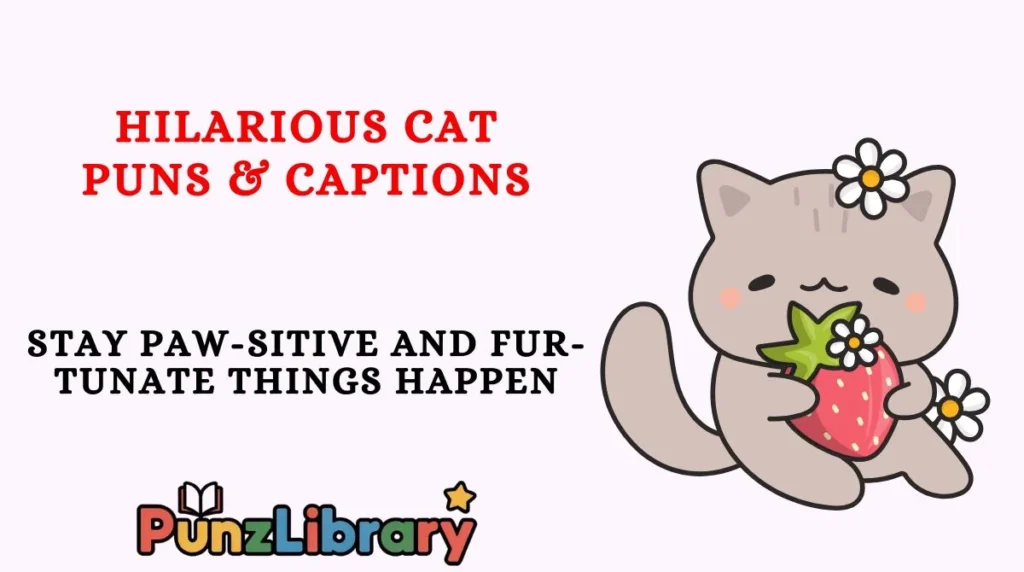 Hilarious Cat Puns & Captions