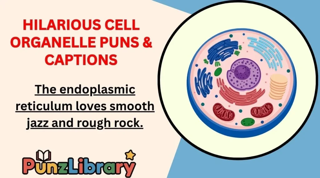 Hilarious Cell Organelle Puns & Captions