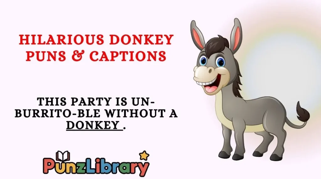 Hilarious Donkey Puns & Captions