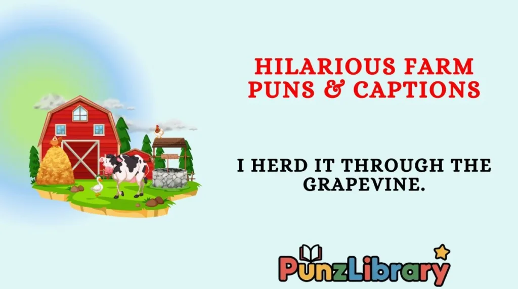 Hilarious Farm Puns & Captions