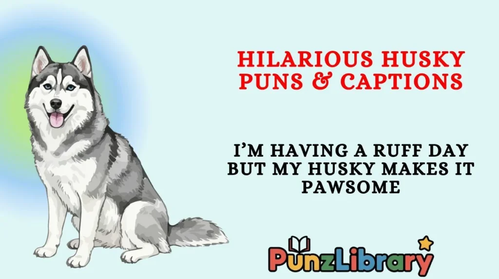 Hilarious Husky Puns & Captions