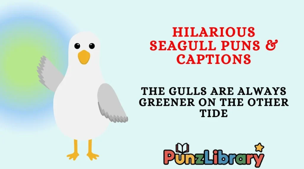 Hilarious Seagull Puns & Captions