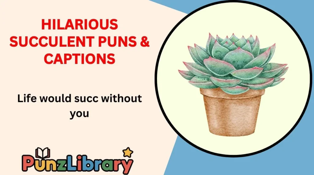 Hilarious Succulent Puns & Captions