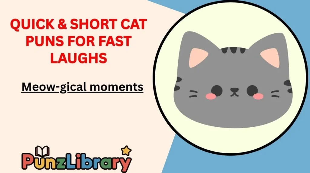 Quick & Short Cat Puns for Fast Laughs
