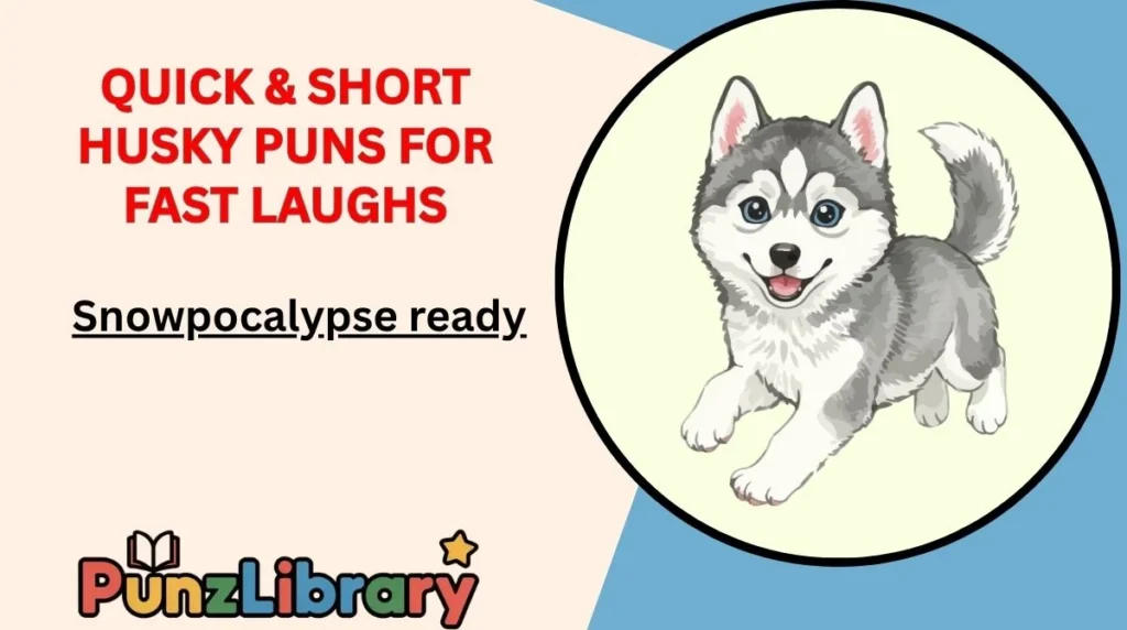 Quick & Short Husky Puns for Fast Laughs