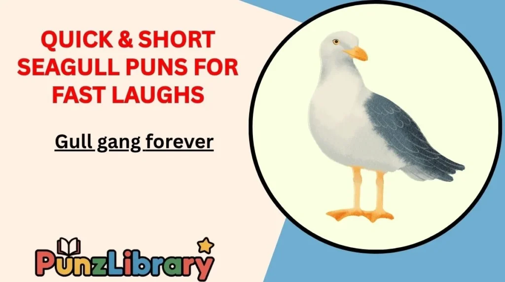 Quick & Short Seagull Puns for Fast Laughs