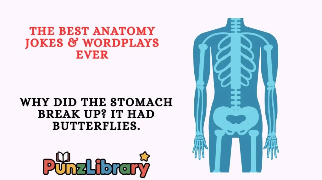 The Best Anatomy Jokes & Wordplays Ever