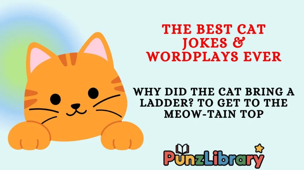 The Best Cat Jokes & Wordplays Ever
