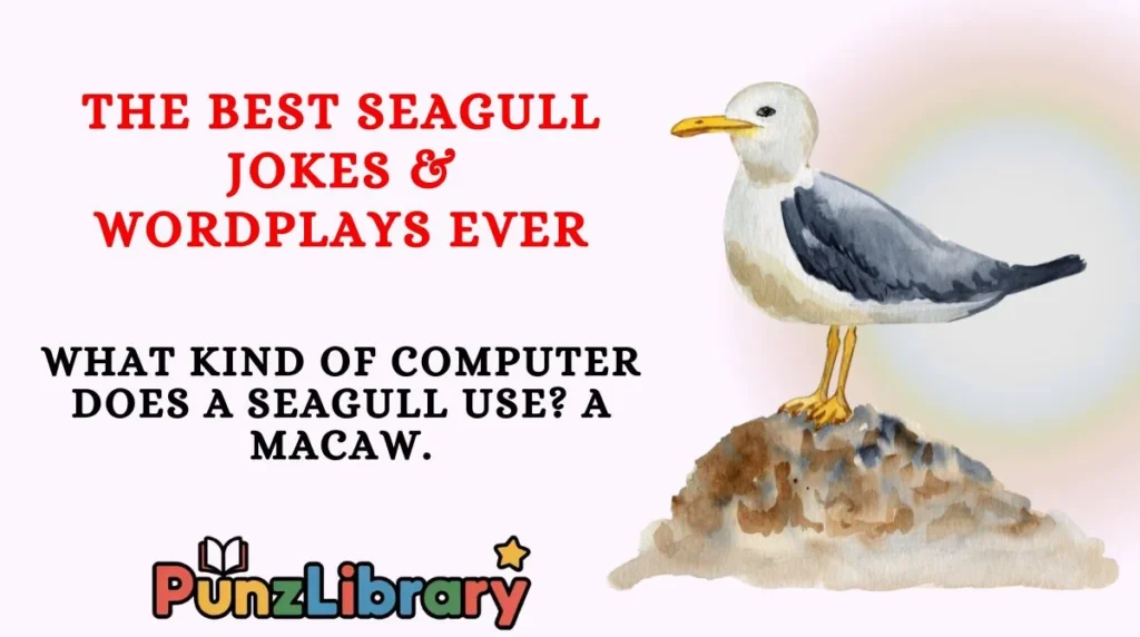 The Best Seagull Jokes & Wordplays Ever