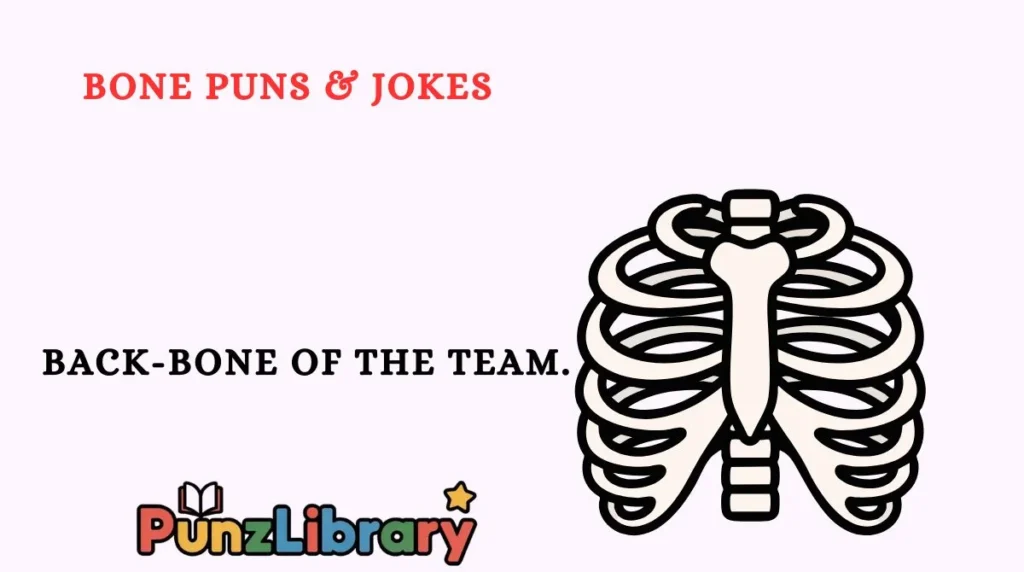 Bone Puns & Jokes