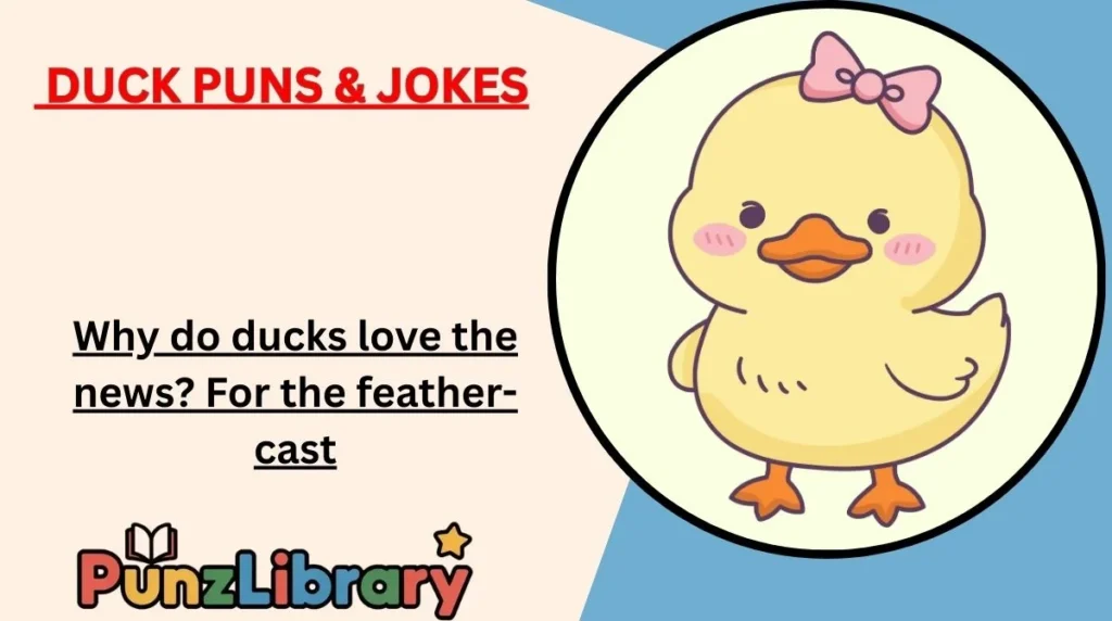 Duck Puns & Jokes
