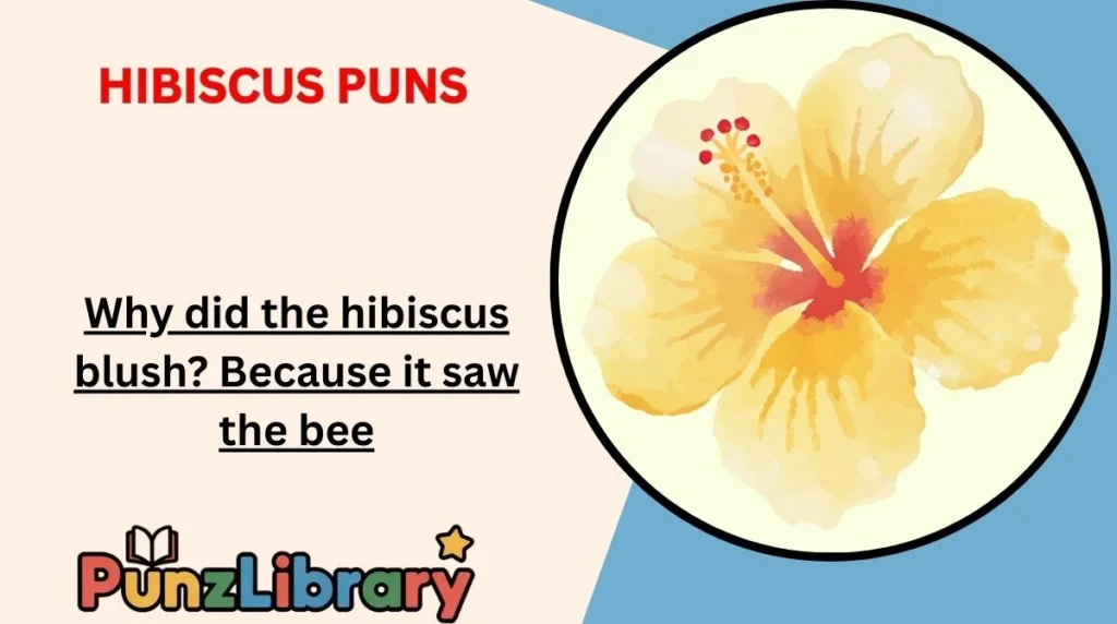 Hibiscus Puns