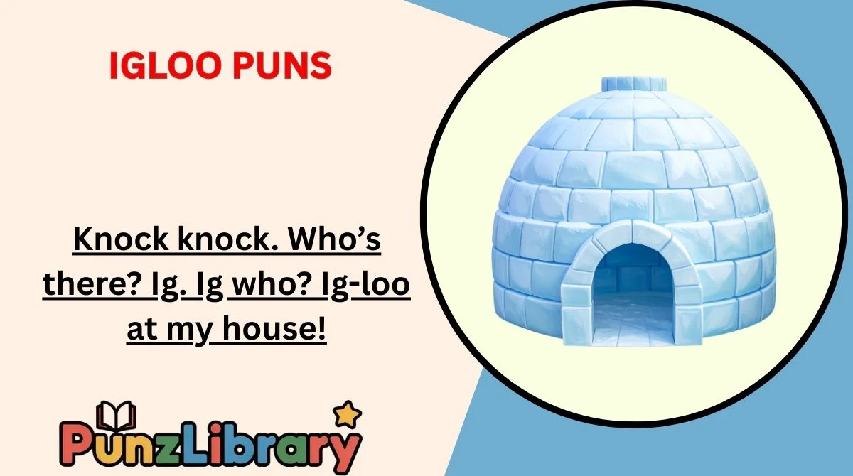 Igloo Puns