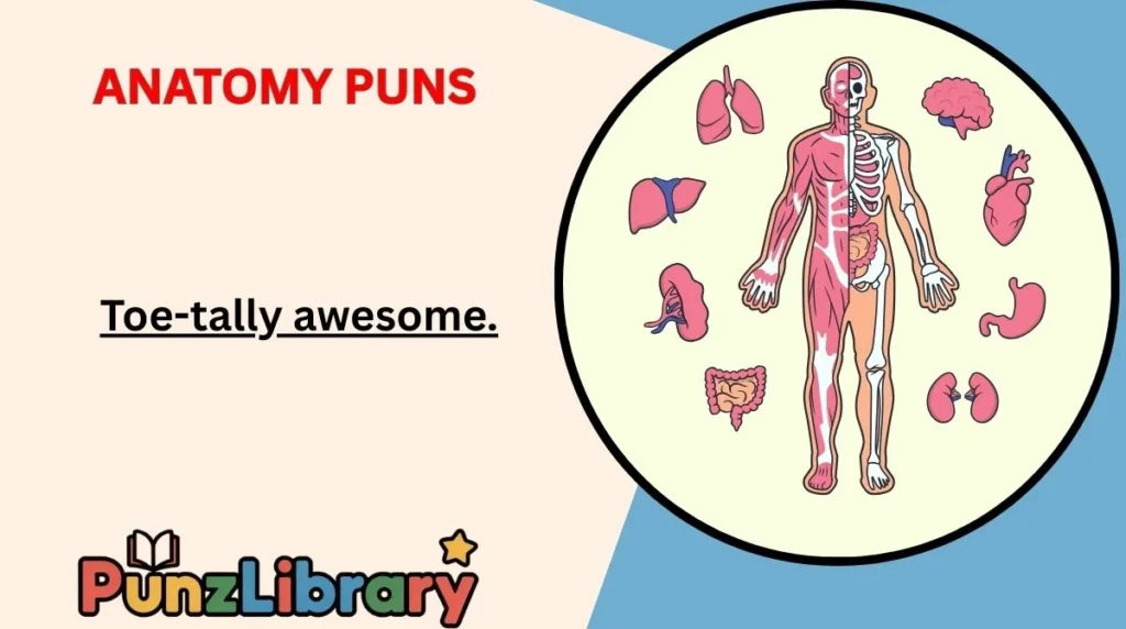 Anatomy Puns