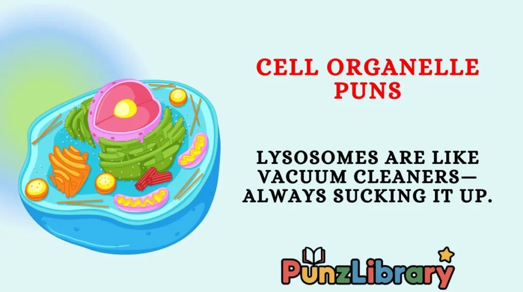 Cell Organelle Puns