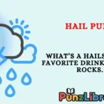 Hail Puns