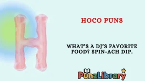 Hoco Puns