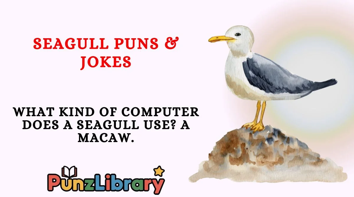 Seagull Puns & Jokes