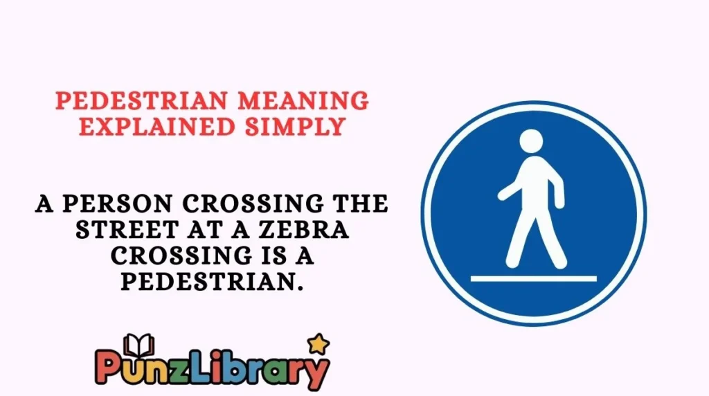Pedestrian Meaning Explained Simply