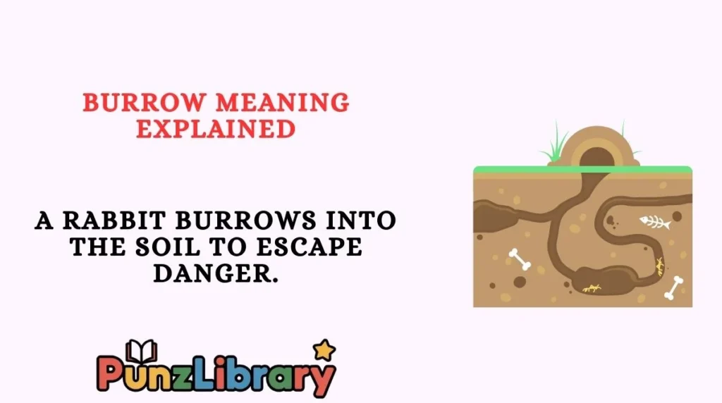 Burrow Meaning Explained