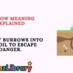 Burrow Meaning Explained