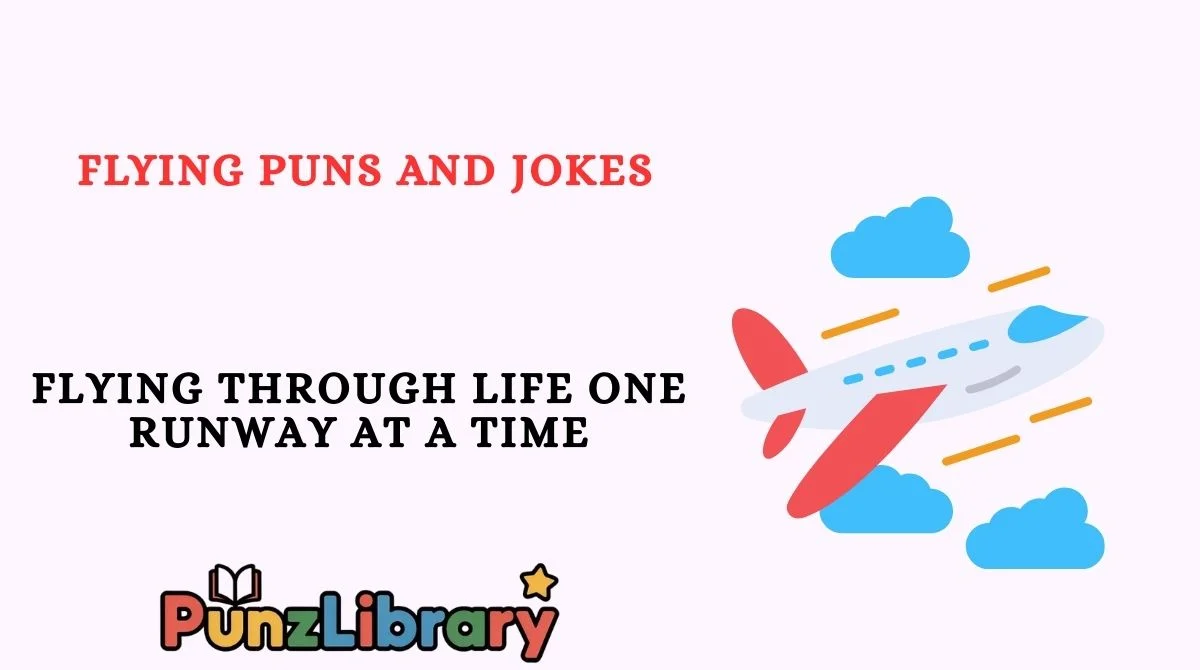 Flying Puns and Jokes