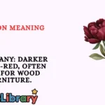 Maroon Meaning