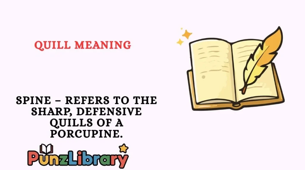 Quill Meaning