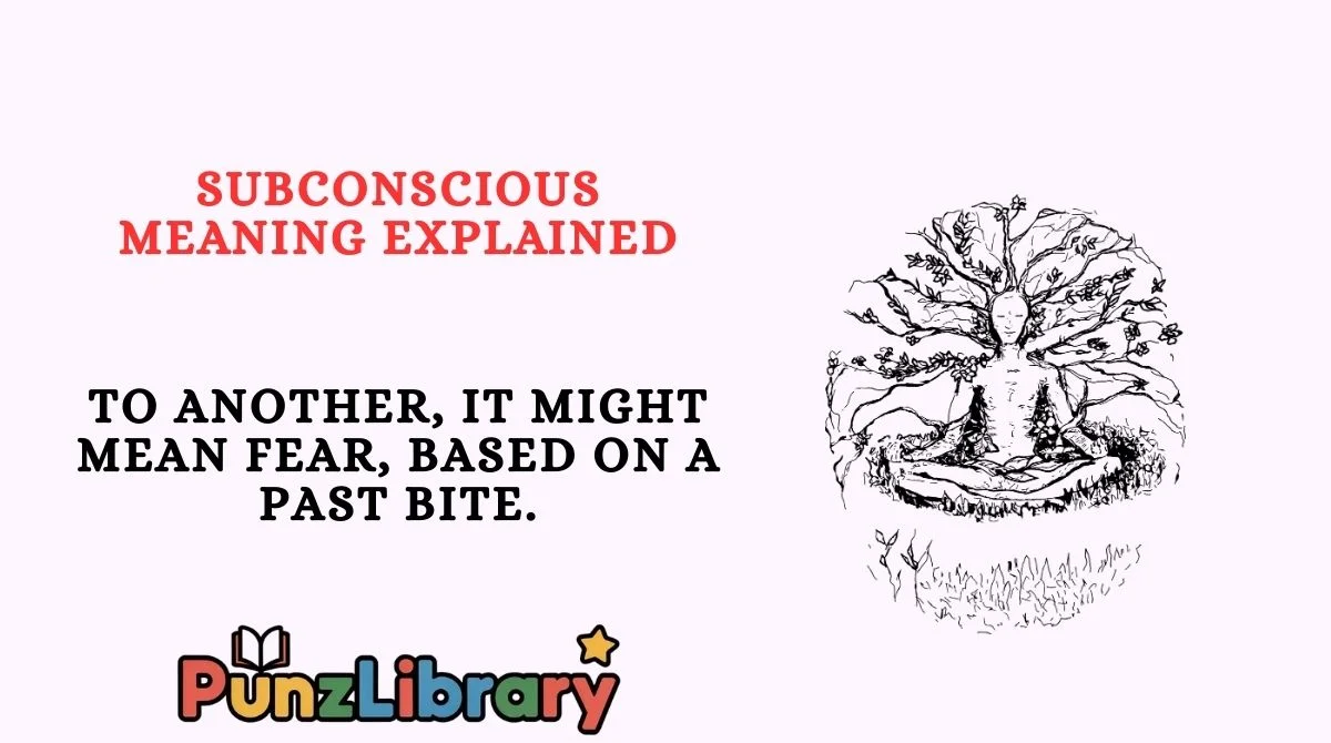 Subconscious Meaning Explained