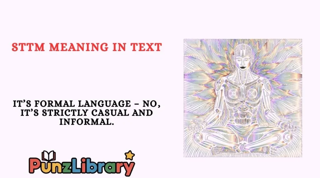 STTM Meaning in Text