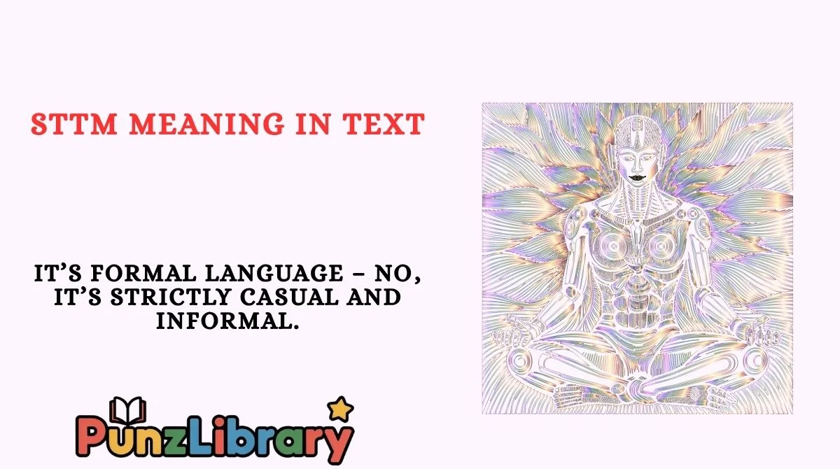 STTM Meaning in Text