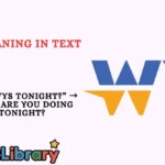 WYS Meaning in Text